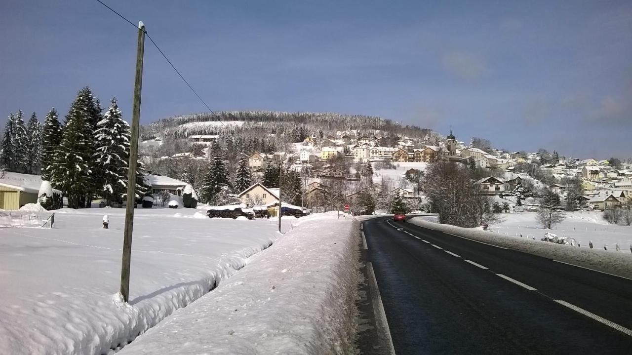 Studio D'Hotes A 10 Km De Gerardmer Le Tholy Exterior foto